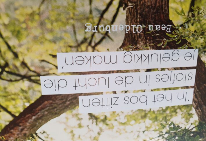 Card image 2